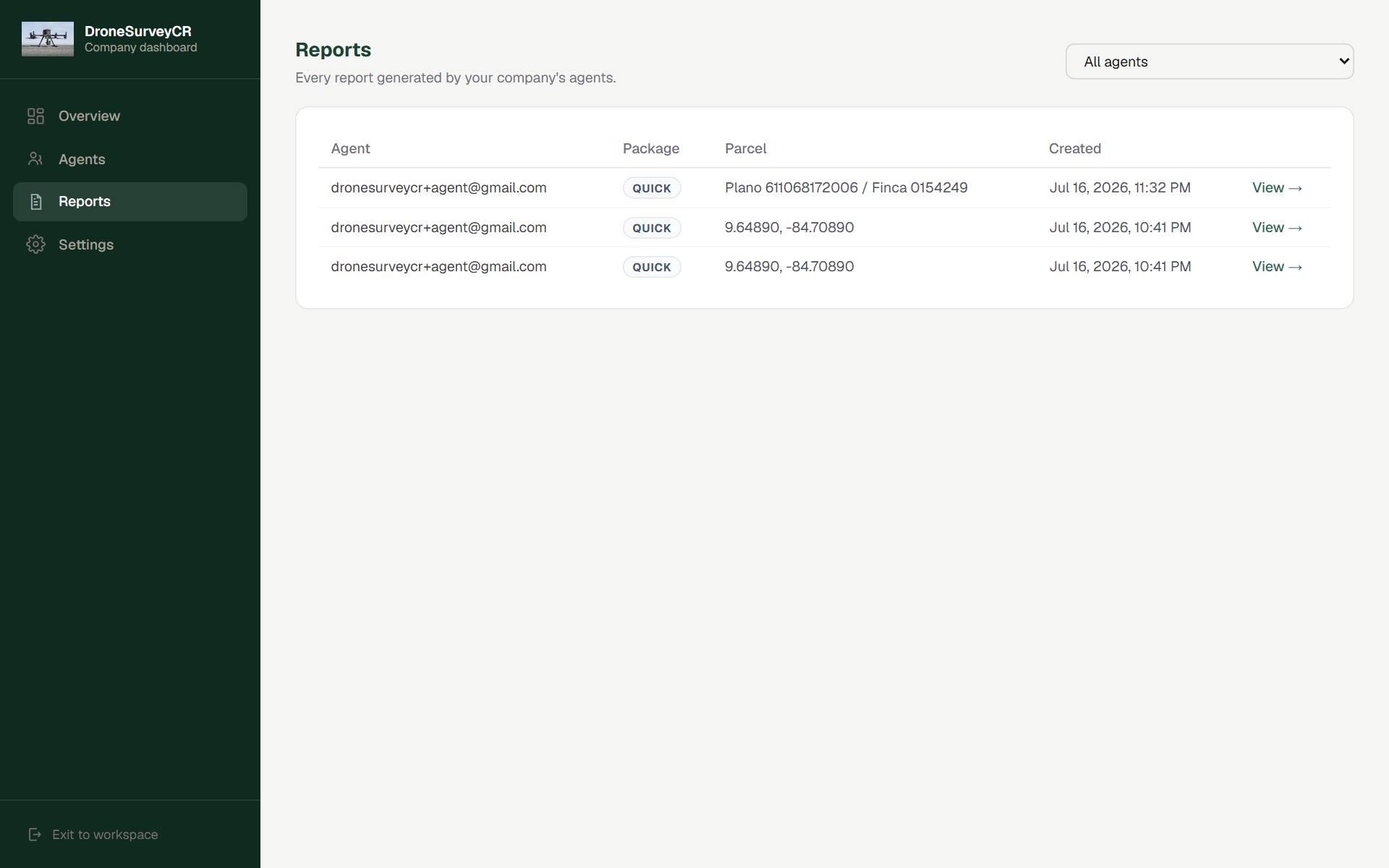 Company-wide reports view filtered by team member